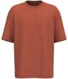 NS308 Native Spirit Unisex French Terry T-Shirt Burnt Brick colour image